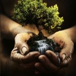 The Farmers Recipe For Strategic Business Growth