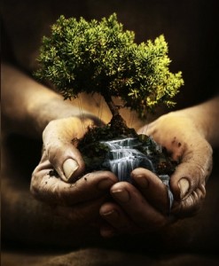 business and farming