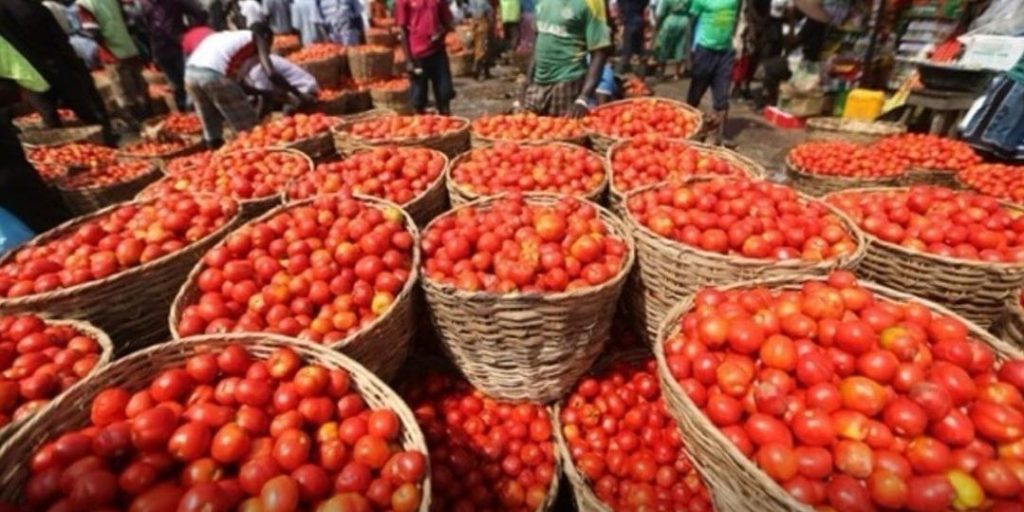 Lagos sees a sharp drop in perishable food prices amid protest.