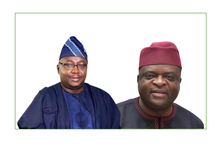 Minister vows to deliver stable electricity to Nigerians