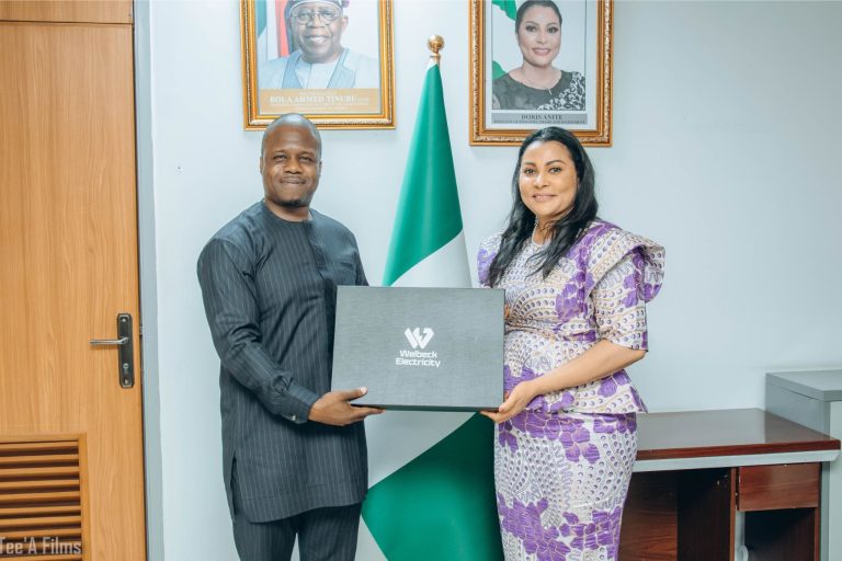 Welbeck Seeks Partnership with FG to Boost Power Supply
