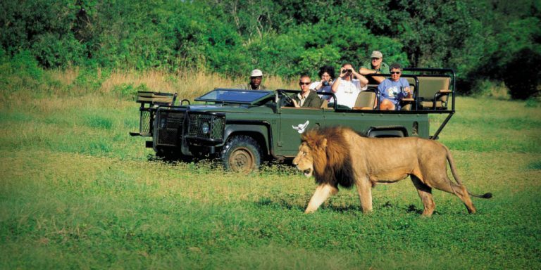 What is the future of marketing African tourism to Europe?