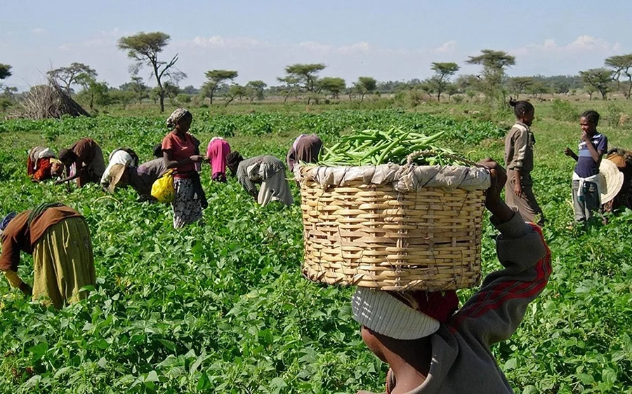 Benue and World Bank Roll Out ₦500,000 Grants to Boost SMEs, Farmers, and Vulnerable Groups