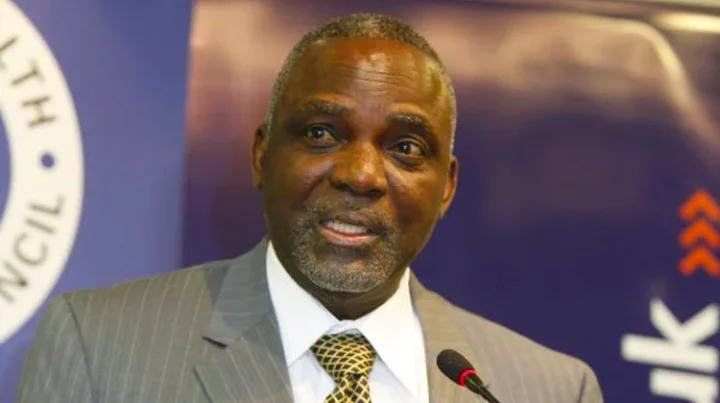 Nigeria Must Prioritize Gas Investment, Reinstate Power Purchase Agreements – Barth Nnaji