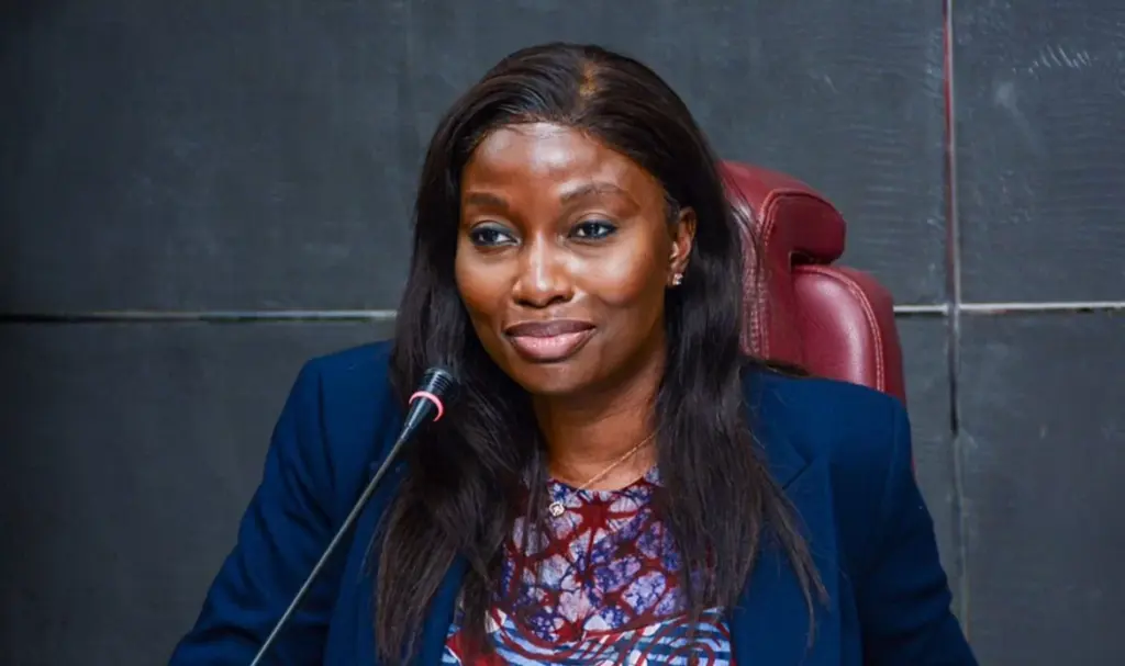 Olubunmi Kuku Attends First ACI WGB Meeting as Africa’s Regional Adviser.