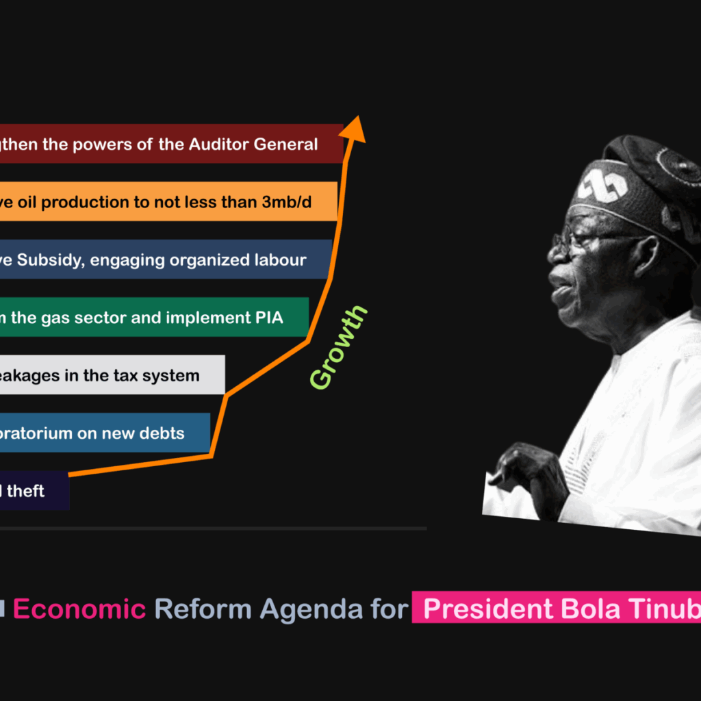 Tinubu’s Reform Agenda: Redefining Nigeria’s Economic Future