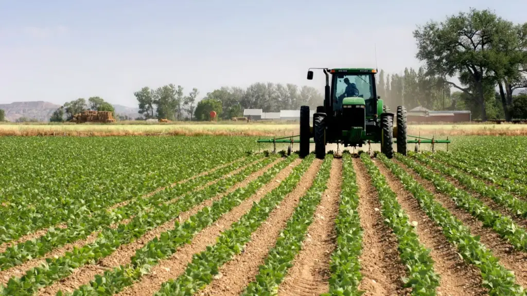 Nigeria Urged to Strengthen Agricultural Financing as Food Import Costs Hit $10 Billion