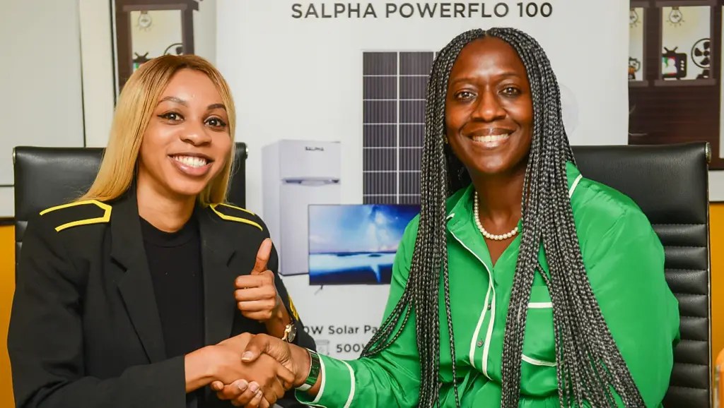 Nigeria’s Startup Formation Slows, Yet Women and Youth Drive Resilience