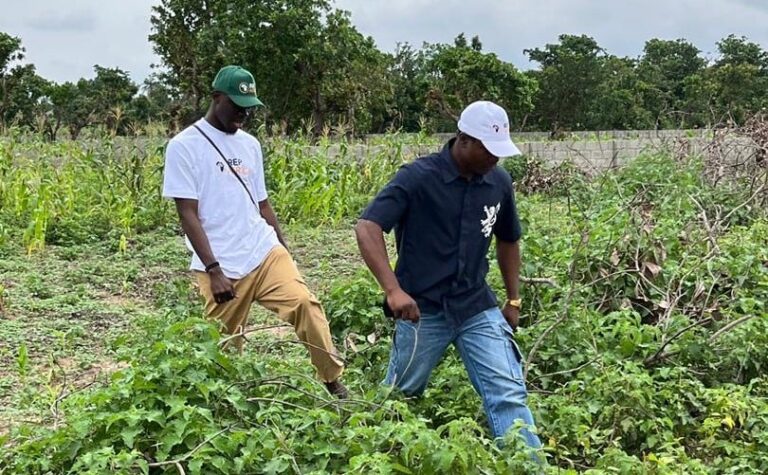 RepAfrica: The Young Visionaries Redefining Real Estate and Wealth Creation in Nigeria