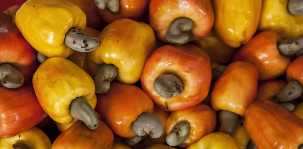 Beyond the Cashew: How Nigeria is Using the CIIE to Rewrite the Rules of Trade
