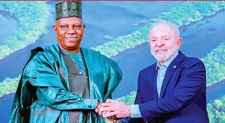 Nigeria Positions Itself as Prime Investment Destination at COP 30 with Green Economy Blueprint