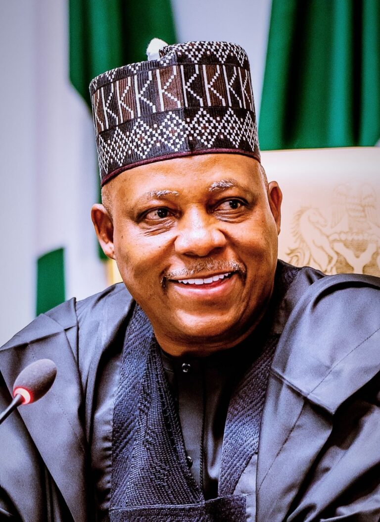Nigeria Reaffirms Openness to Global Investment as Shettima Hosts Advanced Energy Partners
