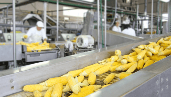Elevating Local Engineering: Workshop Targets Precision and Efficiency in Nigeria’s Food Processing Machinery