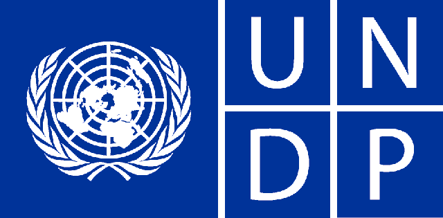 UNDP Launches Call for Nigerian Youth Innovators to Combat Digital Gender Violence