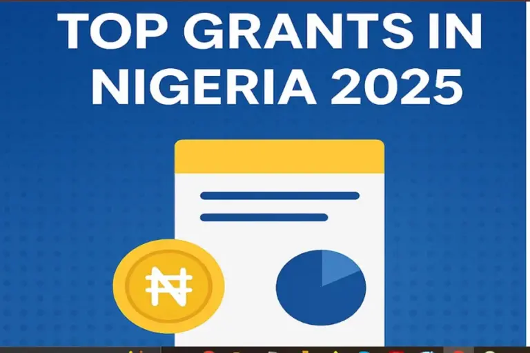 The 2026 Entrepreneur’s Funding Roadmap: Accessing Nigeria’s High-Impact Business Grants