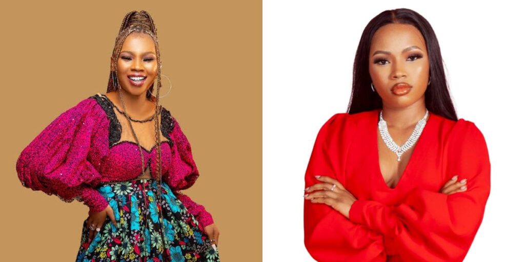 Systemic Failure: The Tragic Death of ‘Digital Creator Chic’ and Nigeria’s Healthcare Crisis