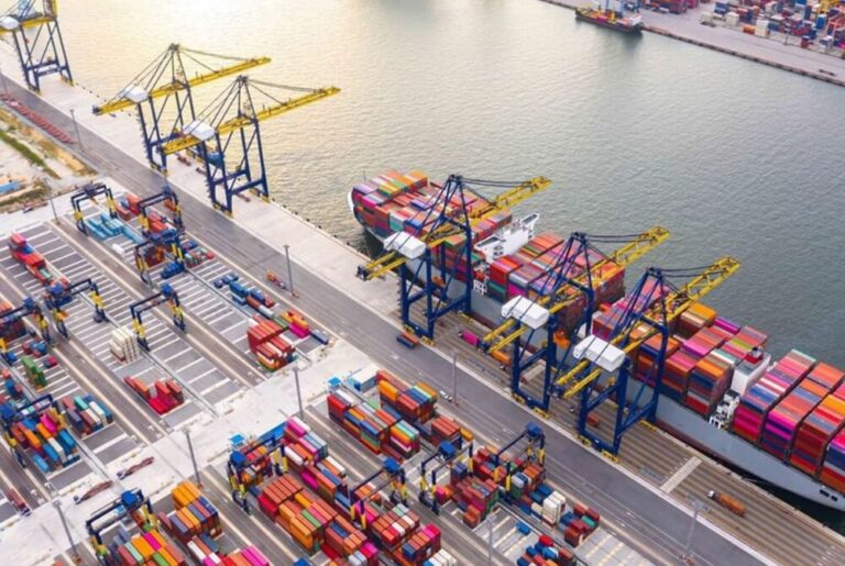 The BUA-UAE Trade Hub: Redefining Global Food Logistics