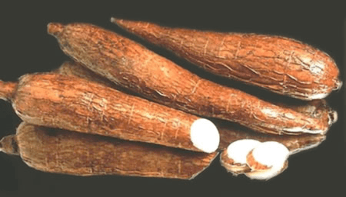 Nigeria Eyes Cassava Sorbitol to Bridge ₦8 Billion Industrial Sweetener Import Gap