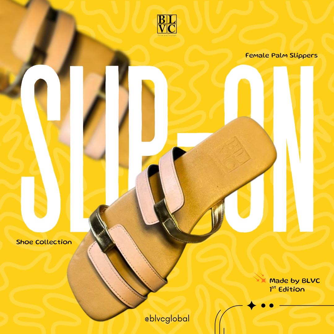 Meet Temitope Arogundade - From a One-Bedroon Aprtment to Building a Purpose-Driven Nigerian Footwear Brand, BLVC