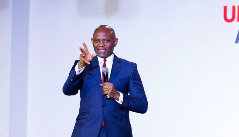 “Stop the Victim Mentality”: Elumelu Defends French Ties and Calls for Global Capital Influx