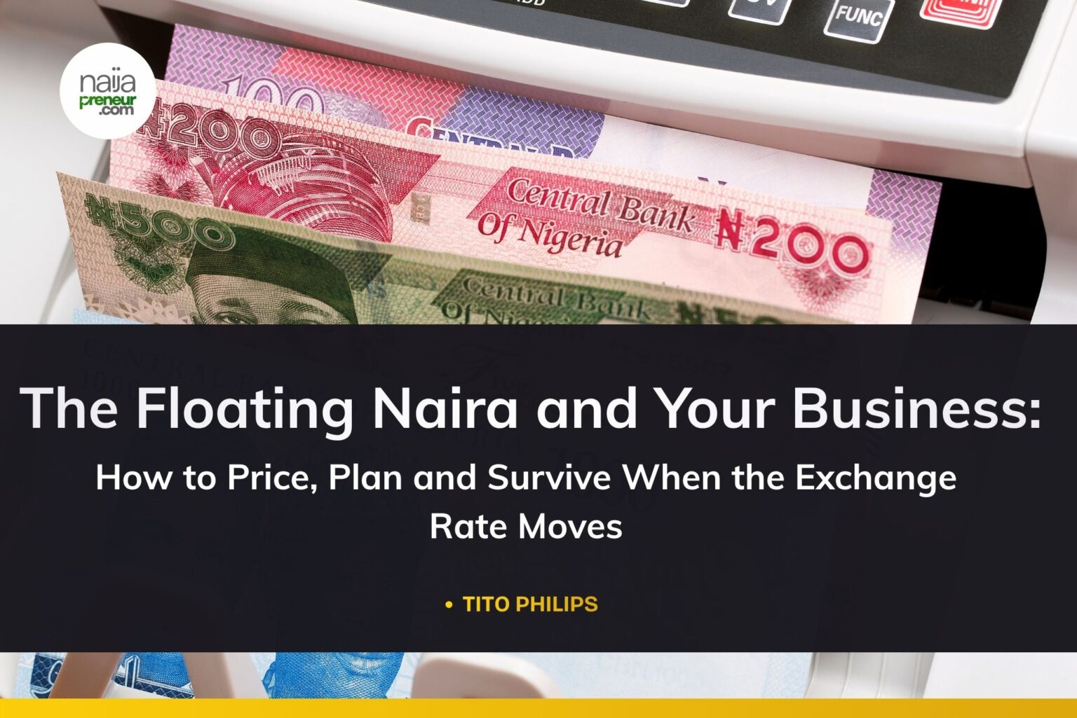 The Floating Naira and Your Business: How to Price, Plan and Survive When the Exchange Rate Moves